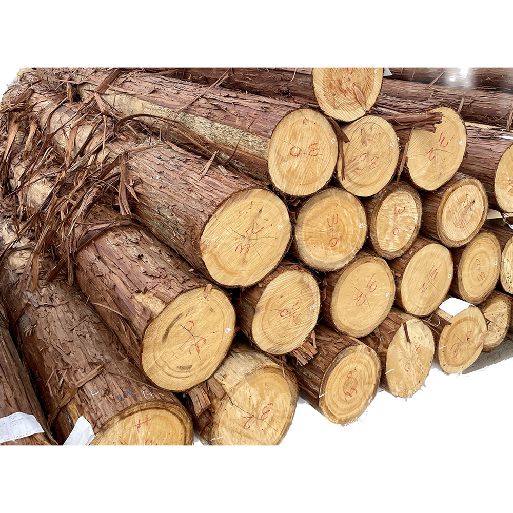 Useful Japanese hinoki cypress lumber wood price valuable tree