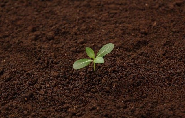 Fertilizer Soil Conditioners To Improve The Quality Of Crops