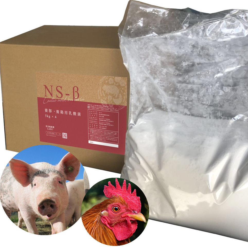 Highj quality  pig feed chicken feed additivel actobacillus products soil improvement supplements bulk