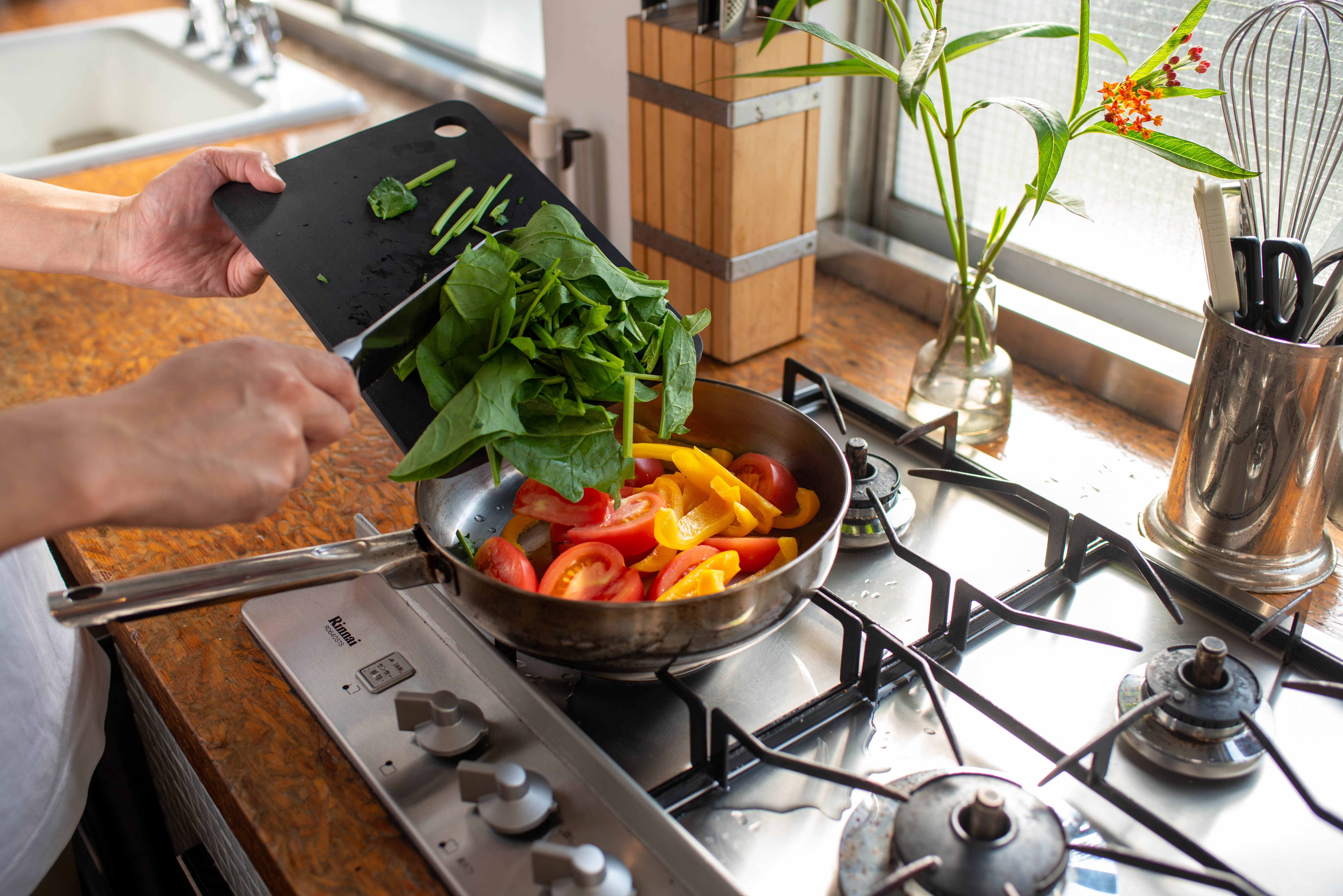 RUBBER Rubber: cutting board  for professional use #009