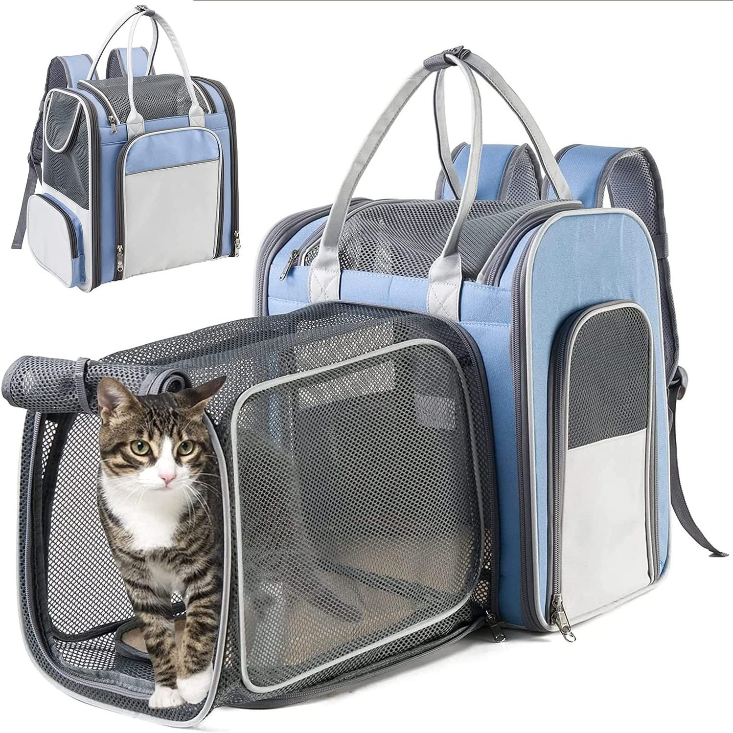 Equipment Dog Travel Bag Expandable Oxford Pet Portable Carrier Backpack Pet Supplies