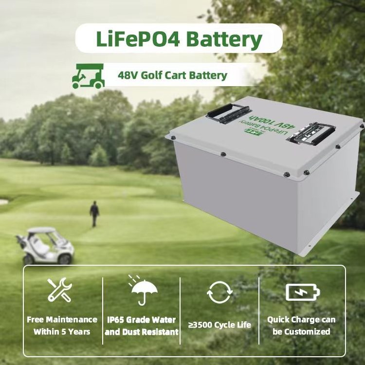 LFP lip4 Lifepo4 golf cart battery 48v 60ah 50ah 100ah 175ah with BMS battery pack