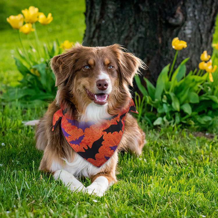 Wholesale custom all kinds of holiday style Easter Christmas pet dog bandana