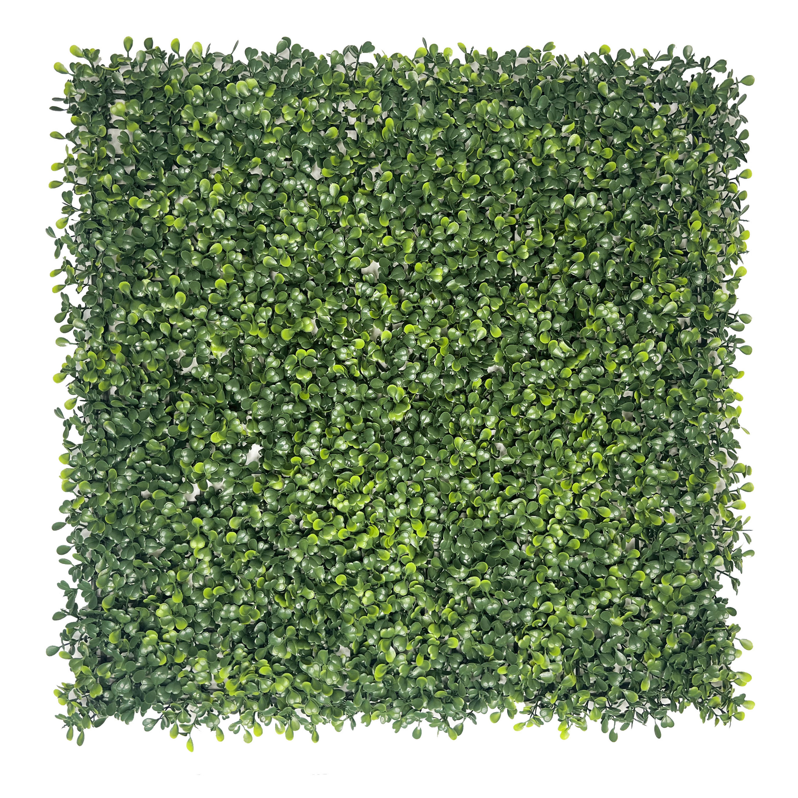 Artificial Boxwood 24 Pack 20