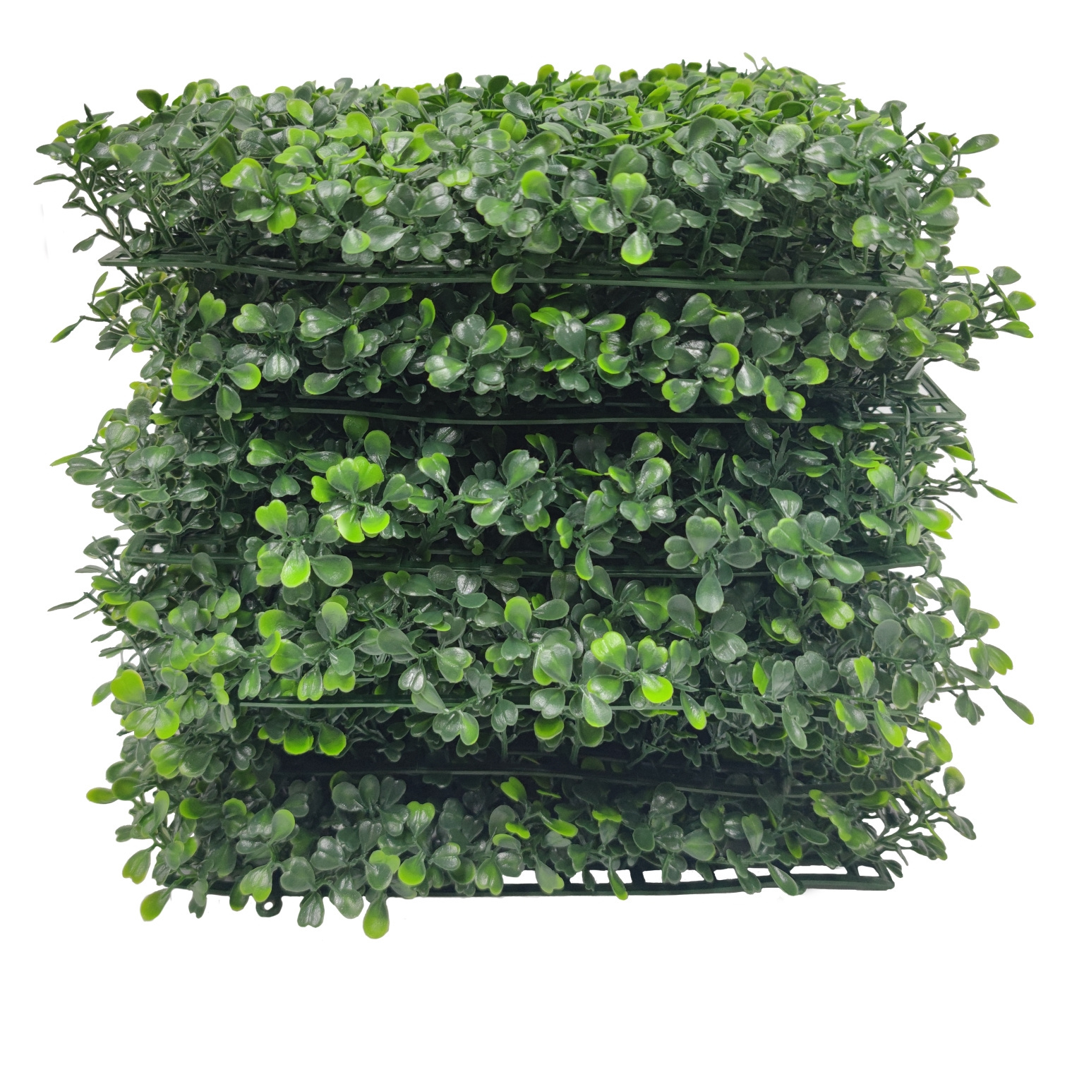 Artificial Boxwood 24 Pack 20