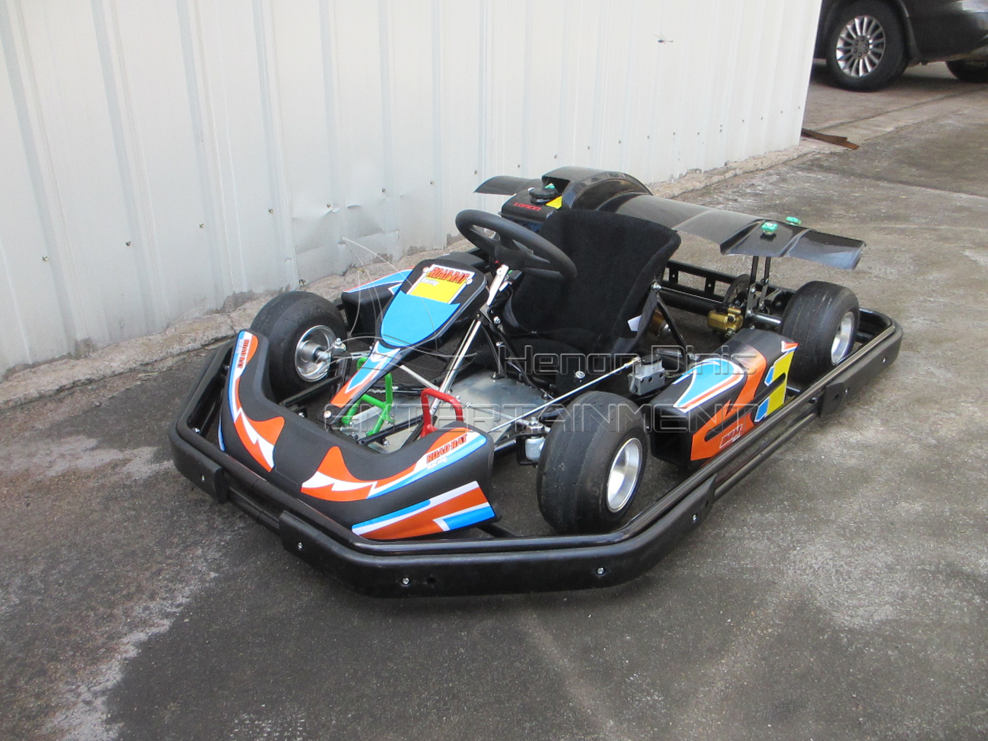 Battery park go kart kids and adult High Speed battery and Electric Racing Go Kart