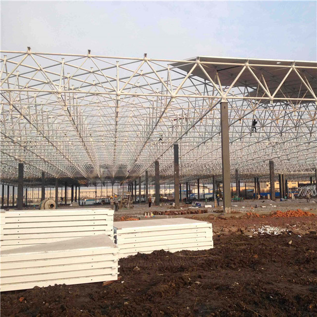 Prefab Steel Structure Long Span Roof Trusses