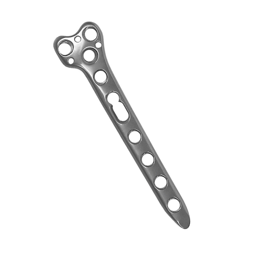 CE ISO Cheap Orthopedic implant large fragment lower limbs Posterior Condyle of Distal Tibial Locking Plate