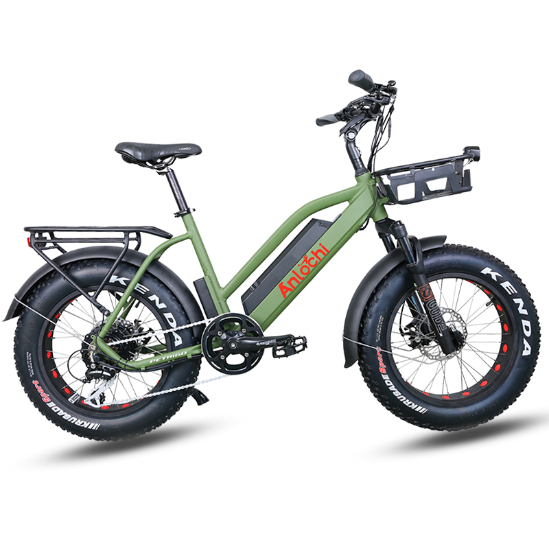 ANLOCHI 36V 48V 20 inch ebike fat tire step through electric e bike 500W 750w Aluminum Alloy electric bicycle