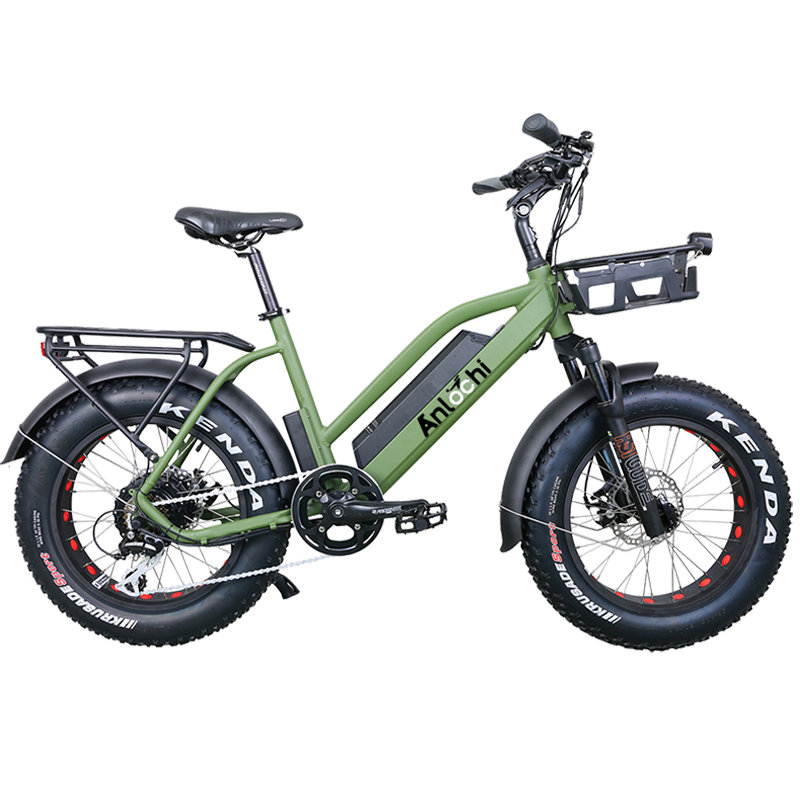 ANLOCHI 36V 48V 20 inch ebike fat tire step through electric e bike 500W 750w Aluminum Alloy electric bicycle