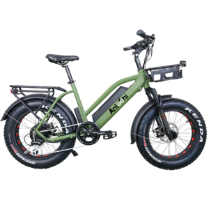 ANLOCHI 36V 48V 20 inch ebike fat tire step through electric e bike 500W 750w Aluminum Alloy electric bicycle