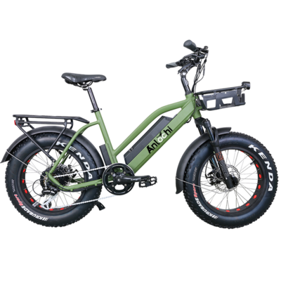 ANLOCHI 36V 48V 20 inch ebike fat tire step through electric e bike 500W 750w Aluminum Alloy electric bicycle