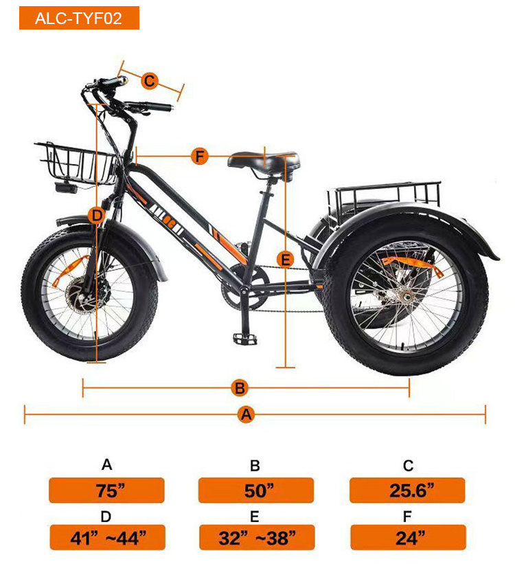 ANLOCHI US warehouse delivery cargo ebike fat tire electric tricycle 48V750W 3 wheel fat tire e trike for sale