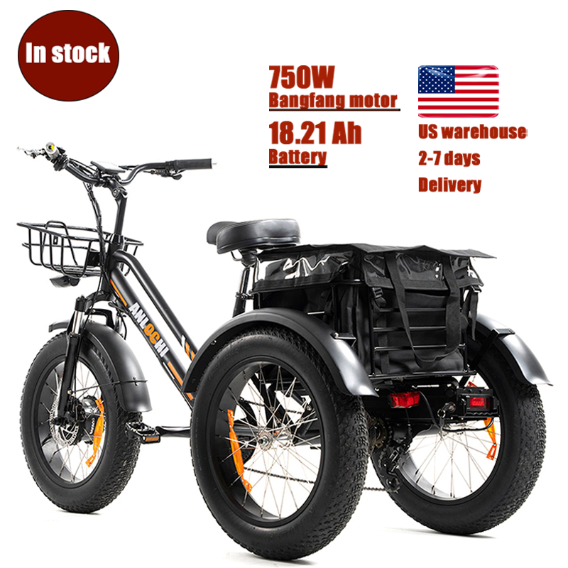 ANLOCHI US warehouse delivery cargo ebike fat tire electric tricycle 48V750W 3 wheel fat tire e trike for sale