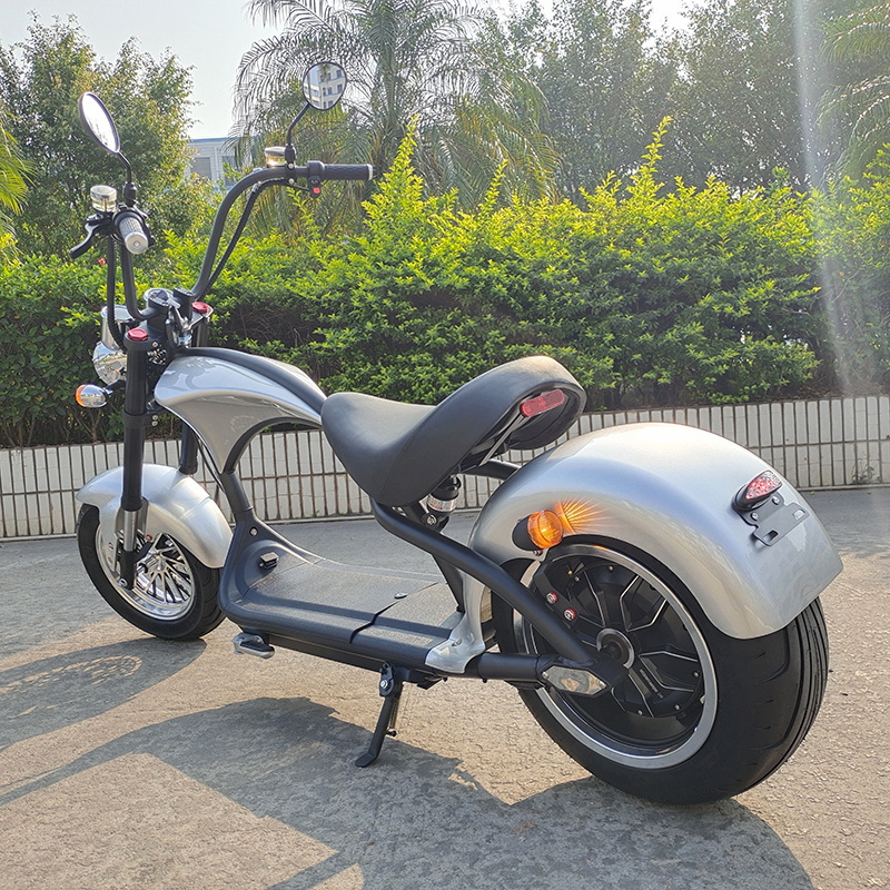 Anlochi 2024 two wheel fat tire 12 inch powerful 60v 2000W 20Ah lithium cells city electric scooter for  adult