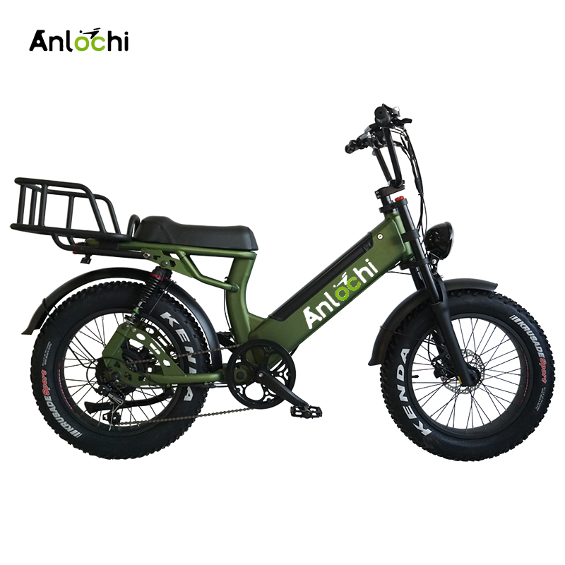 ANLOCHI  high quality 20 inch aluminum frame 48V 750W 13Ah cargo bike electric fat tire delivery bicycle for sale