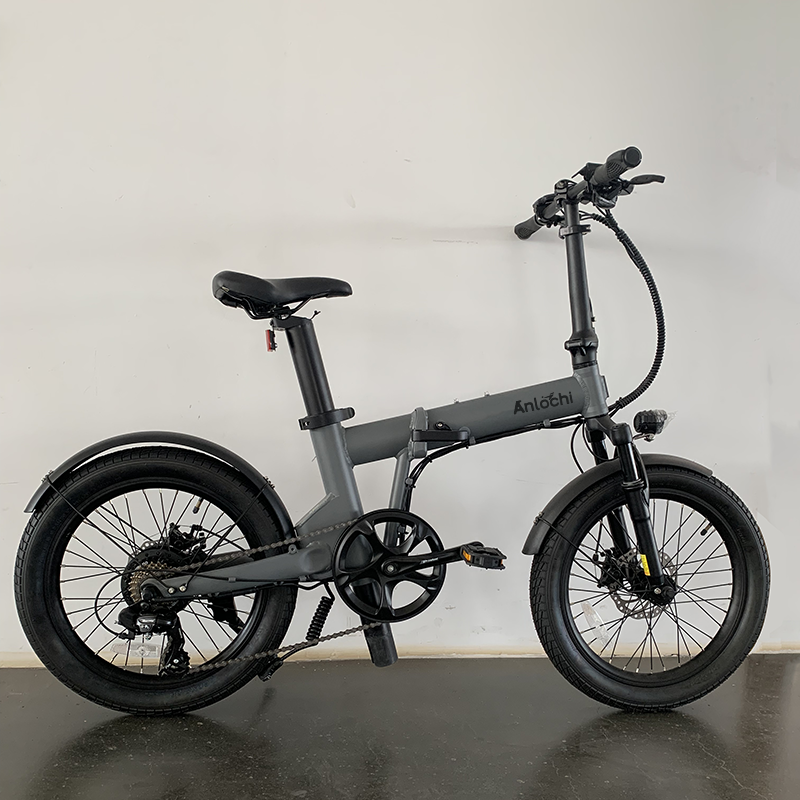 ANLOCHI factory OEM e-bike 20