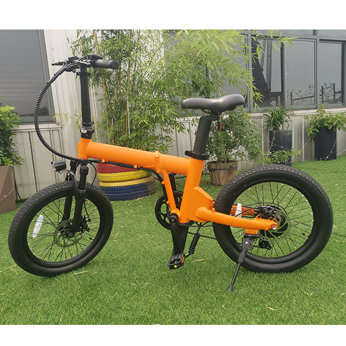 ANLOCHI factory OEM e-bike 20