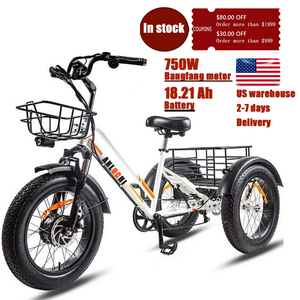 ANLOCHI 20inch electric bicycle 3 wheels e trike 750W bafang motor fat tire cargo bike e-tricycle