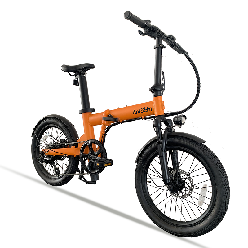 ANLOCHI factory OEM e-bike 20