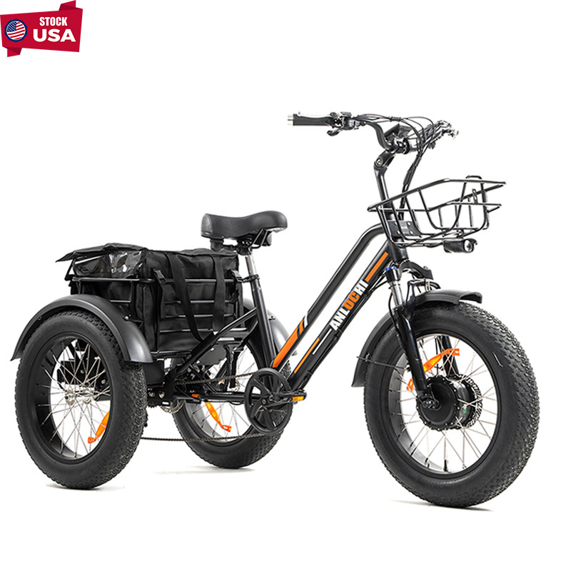 ANLOCHI 20inch electric bicycle 3 wheels e trike 750W bafang motor fat tire cargo bike e-tricycle