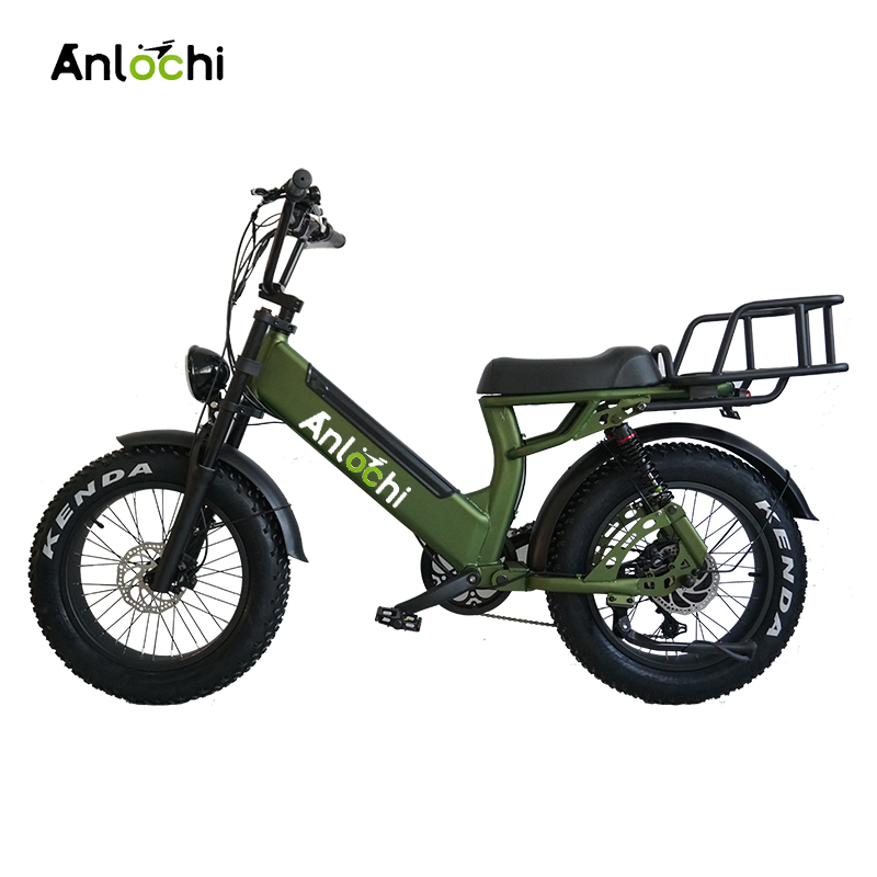 ANLOCHI  high quality 20 inch aluminum frame 48V 750W 13Ah cargo bike electric fat tire delivery bicycle for sale