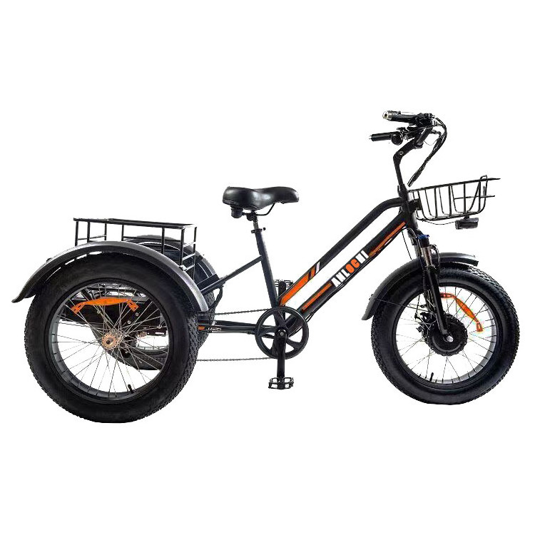 ANLOCHI 20inch electric bicycle 3 wheels e trike 750W bafang motor fat tire cargo bike e-tricycle