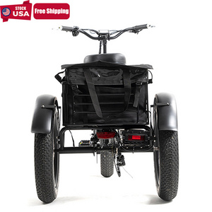 ANLOCHI Bafang 750W E-cargo E Trike with Pedal E-trikes 3 Wheel Electric Adult Tricycles USA for Adults LCD 48V Cargo Eec Open