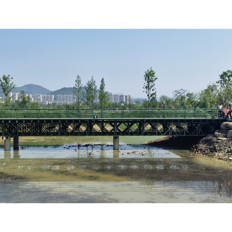 Low Cost  Fast Construction Reinforced Steel Structure Double Truss Bailey Bridge  Steel Structure Pedestrian Bridge