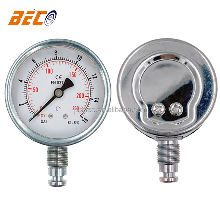 BECO extraction pressure gauge, 0-16bar range dial plate can be customized pressure gauge