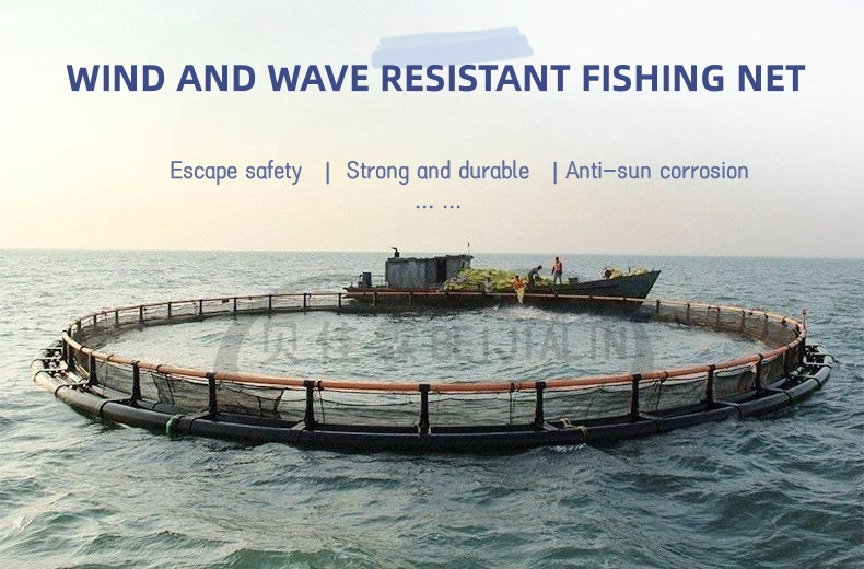 Aquaculture cast lobster fish crab trap trampa para peces scallop lantern farm net cage