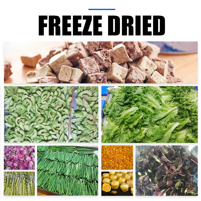 Hot Sale freeze dryer harvest right lab scale machine freeze dryer for peptides