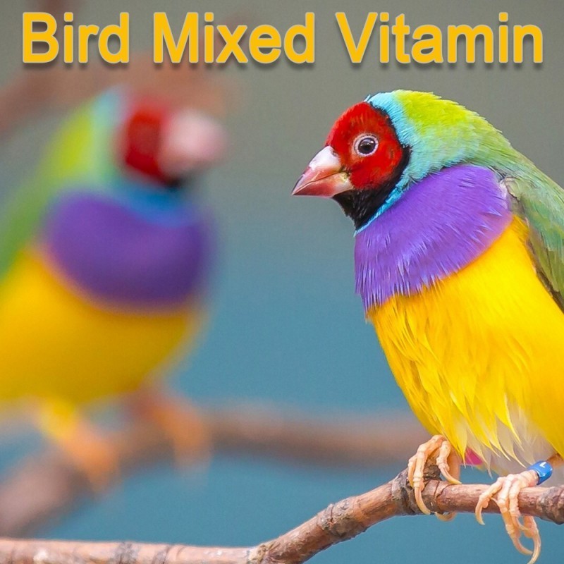 Wholesale parrot milk powder Bird Health Supplies parrot racing pigeon vitamins Supplement