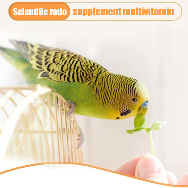 Wholesale parrot milk powder Bird Health Supplies parrot racing pigeon vitamins Supplement