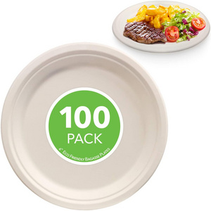 Disposable Biodegradable ODM oill proof Plate Dishes Tableware Natural Sugarcane Bagasse Sublimation sauce Paper Plates Dishes