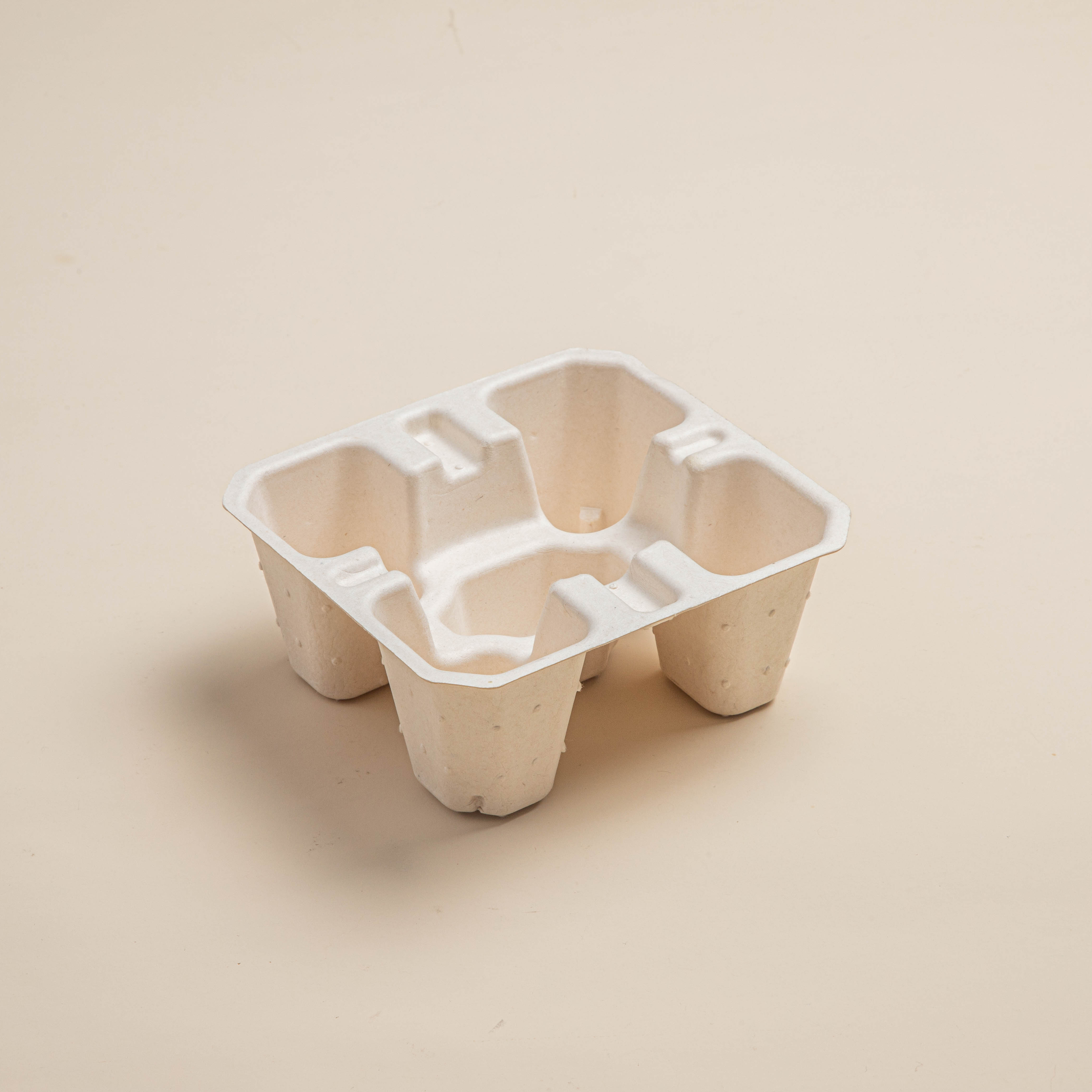 biodegradable Custom Sugarcane Box Moulding paper molded pulp insert tray molds for tray pulp paper