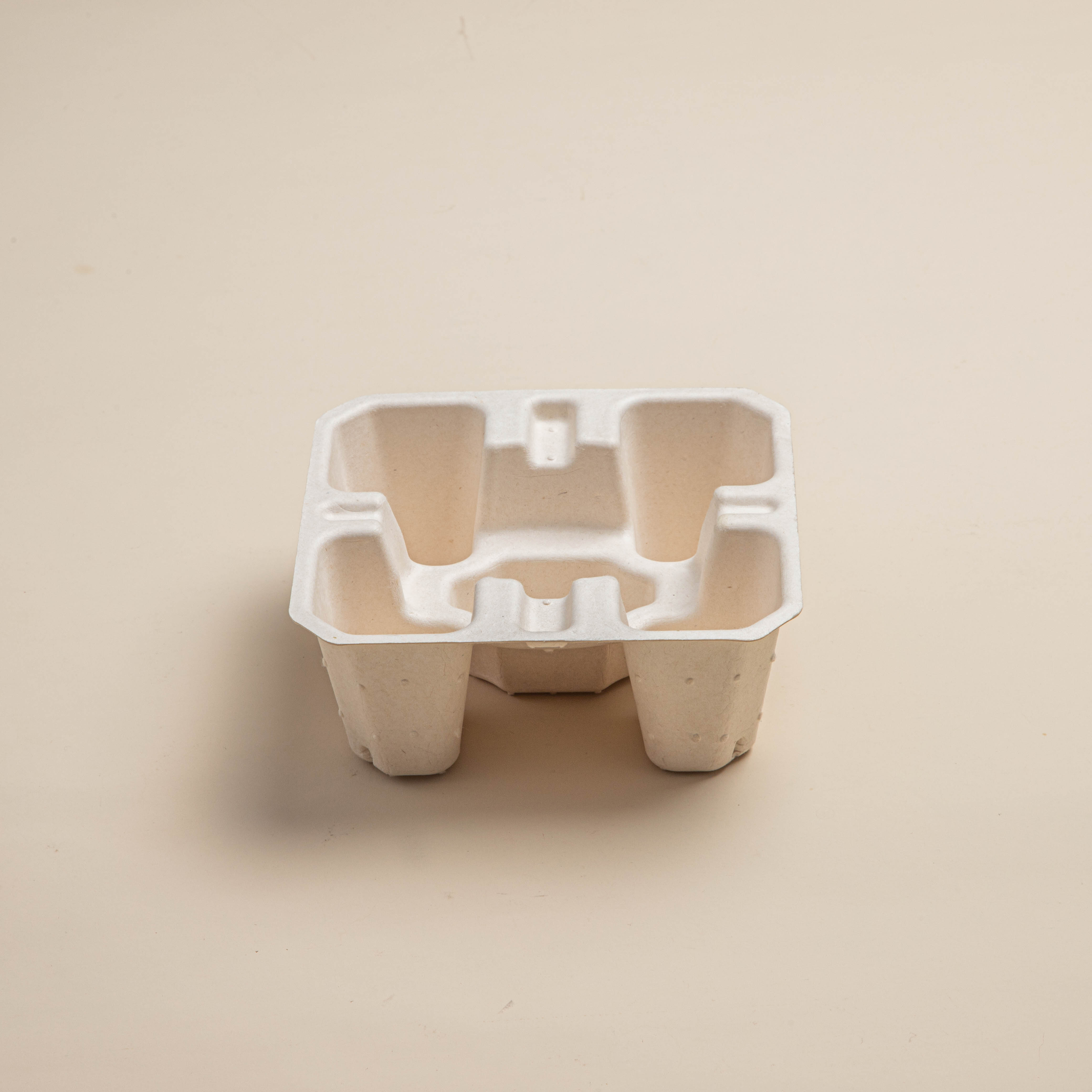 biodegradable Custom Sugarcane Box Moulding paper molded pulp insert tray molds for tray pulp paper