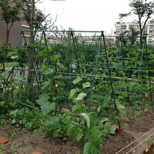 plant climbing support net FRUIT & cucumber support net fruit protection net