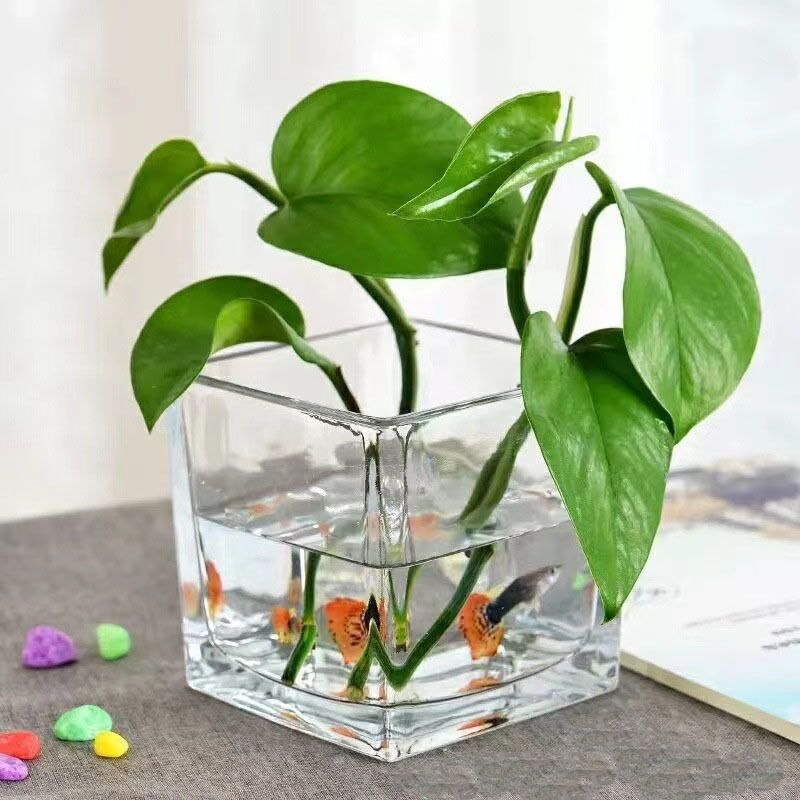 Best Selling Wedding Cube Square Candle Jar Plant Hydroponic Container Home Decor Glass Flower Vase