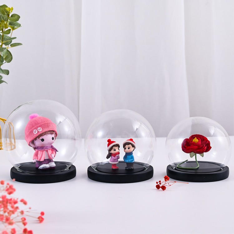 Glass Ball Preserved Flower Storage Display Dome with Wood Base