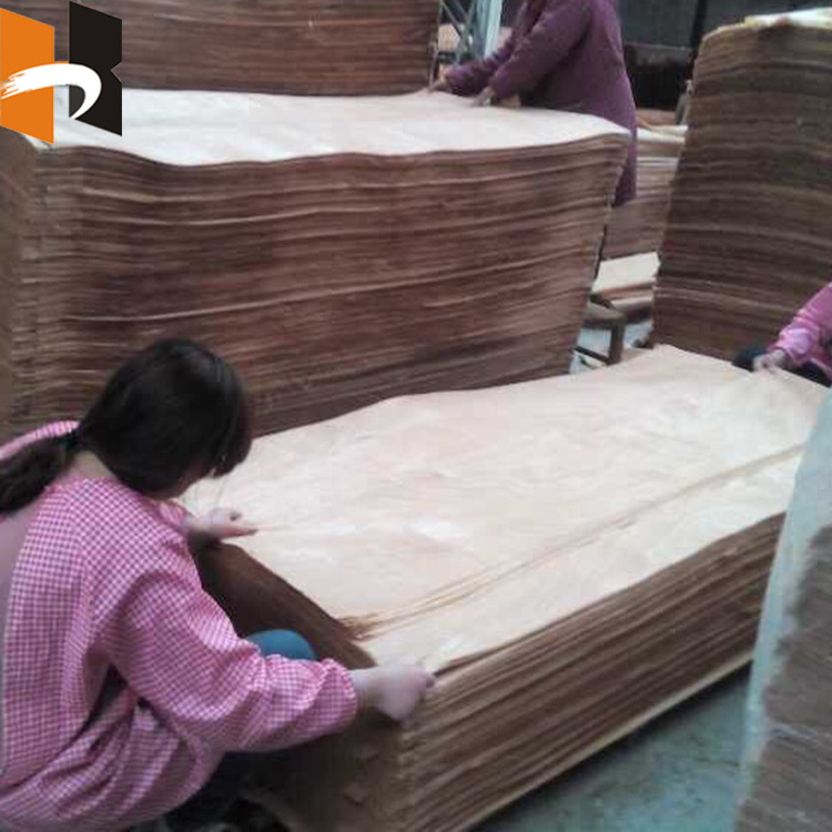 Rotary Cut 0.1MM 1MM Natural Wood Veneer for Furniture Plywood