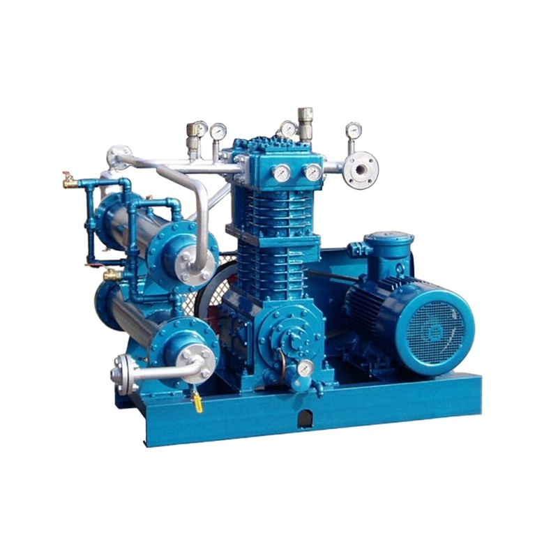 Oil -free LPG CNG compressor biogas compressor petroleum gas booster compressor for industry