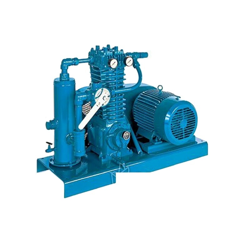 Oil -free LPG CNG compressor biogas compressor petroleum gas booster compressor for industry