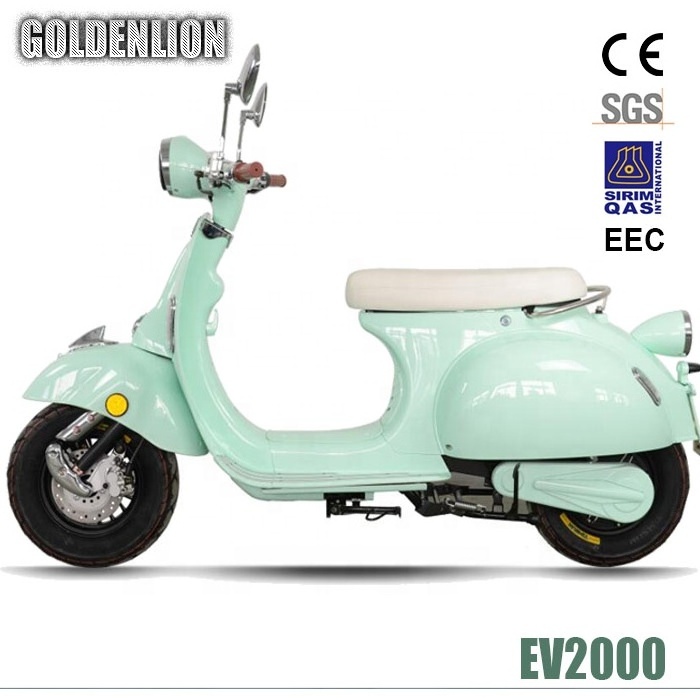 2000W electric bicycle with removable lithium battery optional