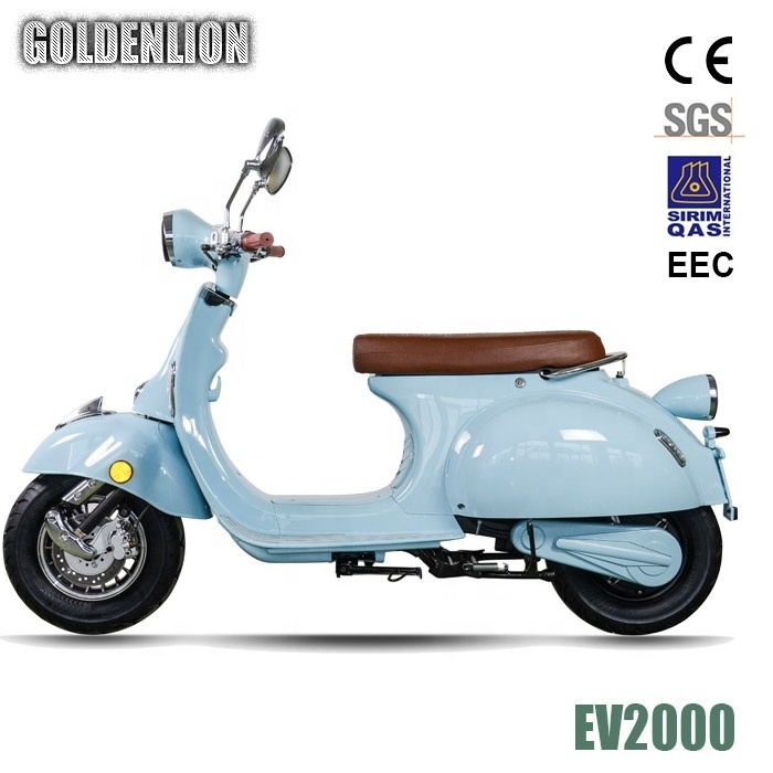 2000W electric bicycle with removable lithium battery optional