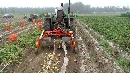 Farm Tools Potato Digger Tractor Mounted Single Row Potato Harvester Machinery Small Sweet Potato Digger