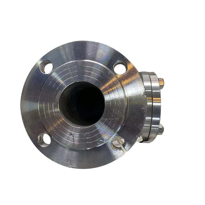 Special for industrial pipeline 304 flange lift check valve