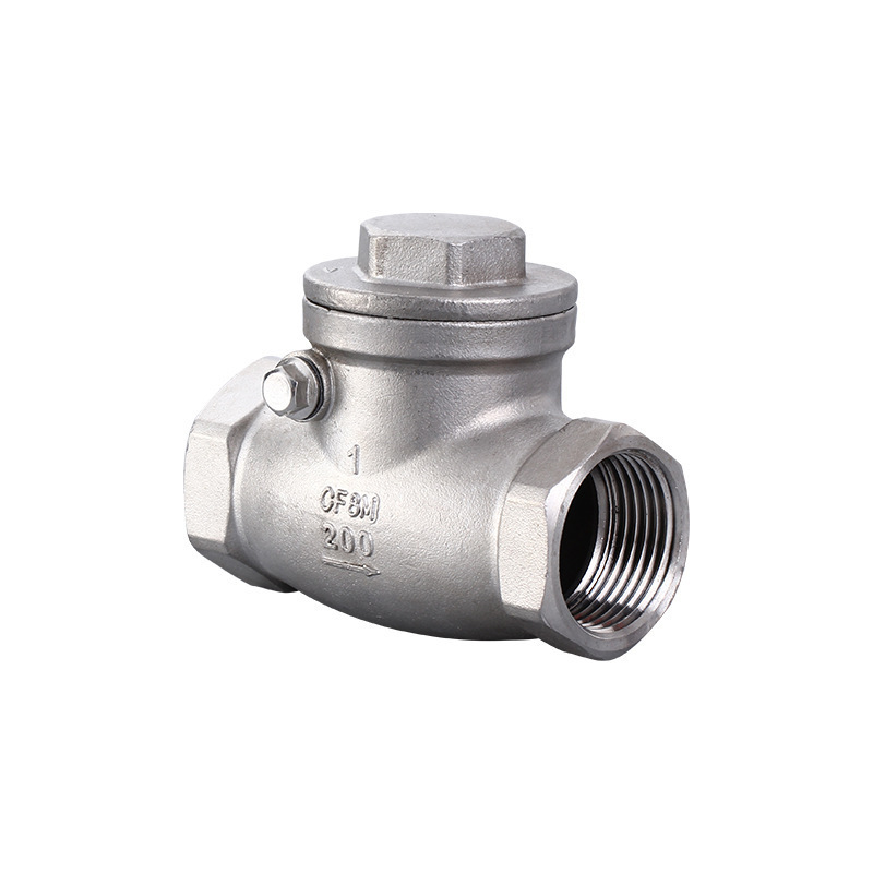 Special for industrial pipeline 304 flange lift check valve