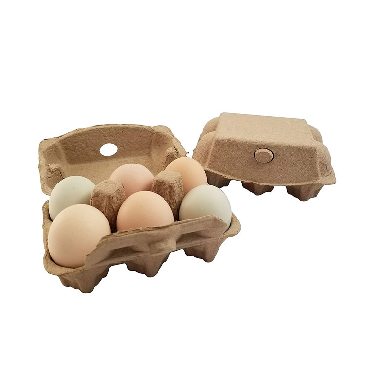 6 Egg Packaging biodegradable Paper Pulp Egg Box Carton