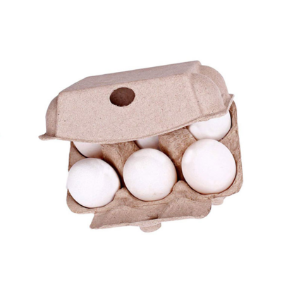 6 Egg Packaging biodegradable Paper Pulp Egg Box Carton